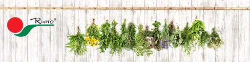 Ruta bylina BIO EKO 50g Runo ekologický certifikát