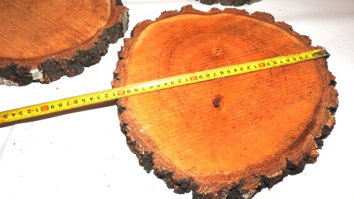 REZ DREVA, BREZA PEČIATKA, 25-30CM, 1KS