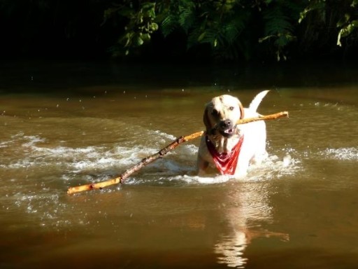 TRIXIE TAŠKY NA POOP CITRÓNOVÁ VÔŇA