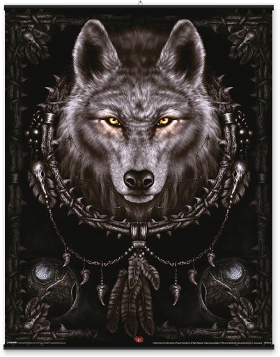 Plagát na stenu Spiral Wolf Dreams Wolf 40x50 cm