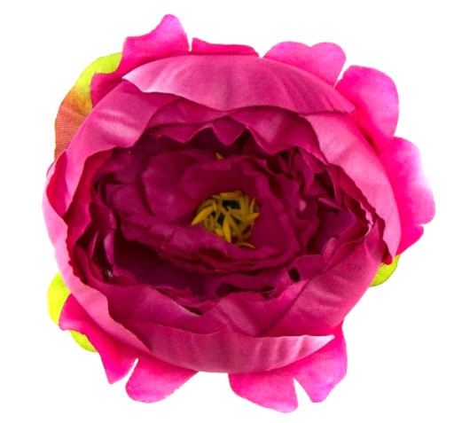 Pivoňka taftová kvetina Dk.Pink NÁDHERNÁ!