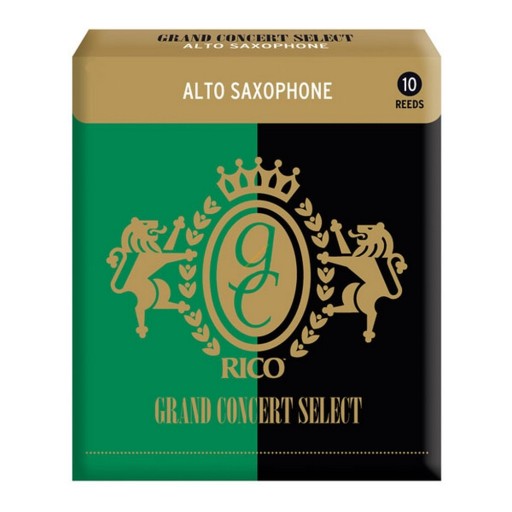 Alto saxofón jazýček 3,5 RICO GRAND CONCERT SELECT