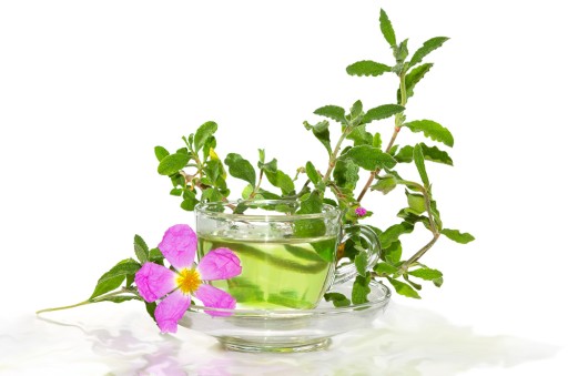 SUŠENÝ CISTUS 500g CISTUS INCANUS Türkiye