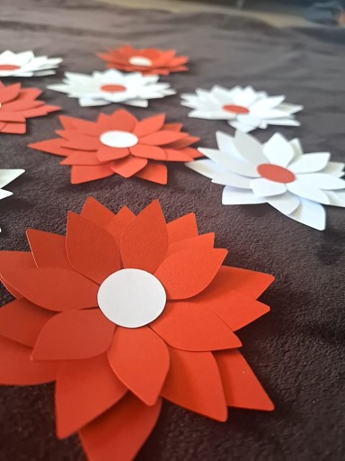 3D kvety Ústava ku dňu matiek na okne, tabuli, závese, škole