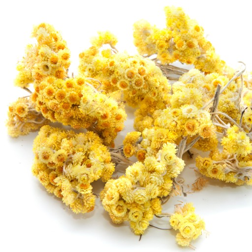 Súkvetie Helichrysum KVET POĽSKÉHO PIESKU IMMELISTER