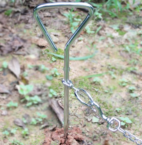 SILNÁ SKRUTKA NA VÝUKU PSA, VEĽKÁ, 45 cm