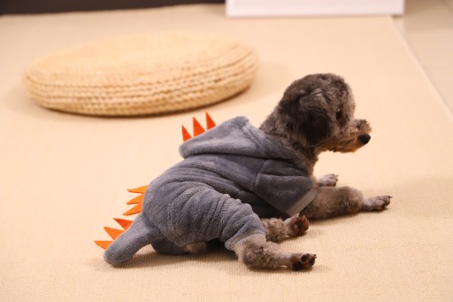 MIKINA DINOSAUR PRE PSA OBLEČENIE TEPLÁŠKA ŠEDÁ M