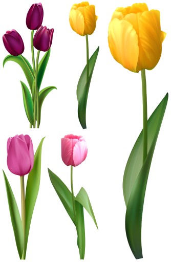 NÁLEPKY NA OKENNÉ ZRKADLOVÉ SKLENÉ TULIPANY KVETY