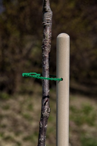 Nastaviteľné viazačky na rastliny, 22 cm, 20 kusov, paradajka