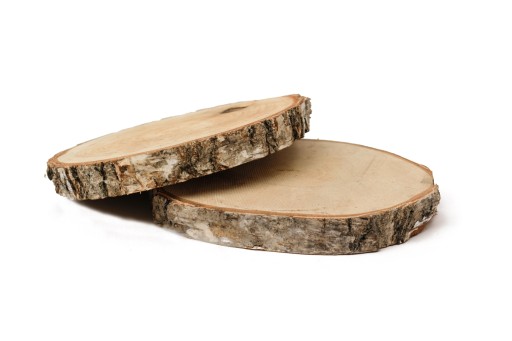 Drevený plátok s priemerom 15-20 cm, hrúbka 2 cm - 1 ks
