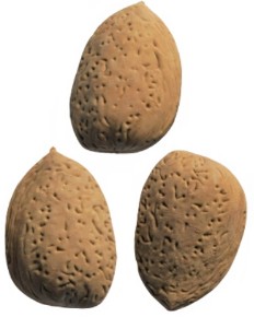 MANDĽOVÁ GUMA SET GUMA 3 KS.