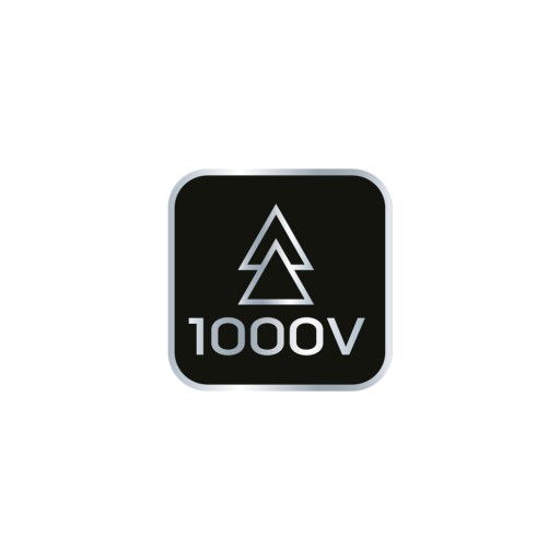 PH2*6*100 skrutkovač, 1000V