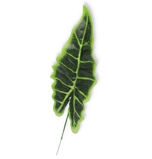 Alocasia list, 12 kusov, umelý pre zloženie