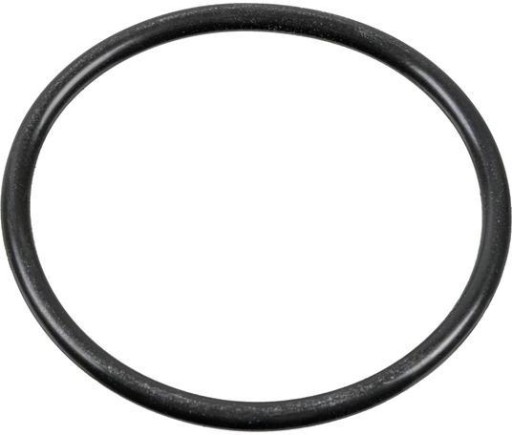 TESNENIE FEBI BILSTEIN 100165