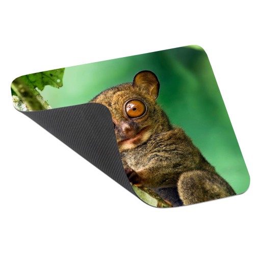 Podložka pod myš WILD ANIMALS MONKEY