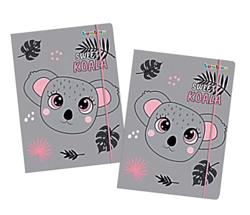 A4 KOALA PILNÍK S GUMA