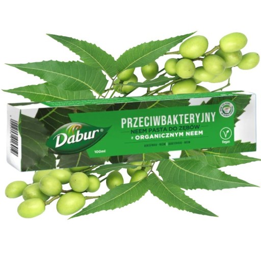Dabur Antibakteriálna organická neemová zubná pasta 100 ml
