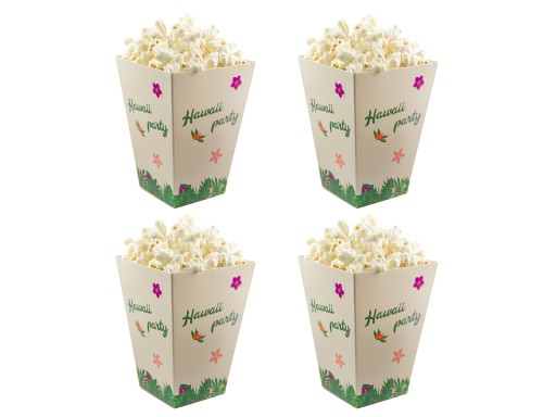 Hawaii Party Popcorn Boxes Hawaii 6s