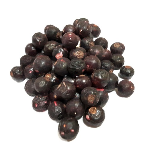 ČIERNE RIBEZE SUŠENÉ MRAZOM 40g