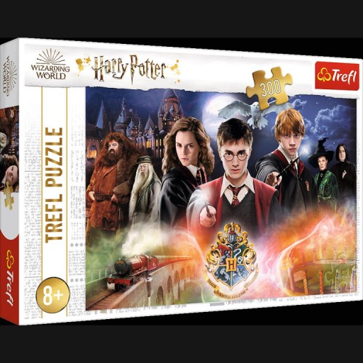 Puzzle 300 tajomných kociek z Harryho Pottera