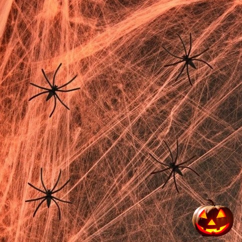 PAVUČNÁ SIEŤ NA HALLOWEENSKÉ WEBOVÉ DEKORÁCIE UMELÝ ORANŽOVÝ + PAVÚKY 200G