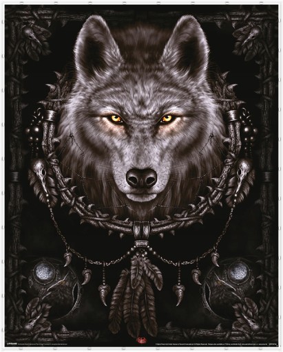 Plagát na stenu Spiral Wolf Dreams Wolf 40x50 cm