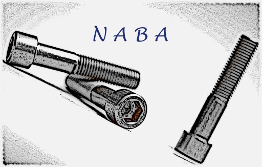 912 DIN A2 M3X20 KONOPNÁ POMOCNÁ SKRUTKA INOX NEREZ (10)