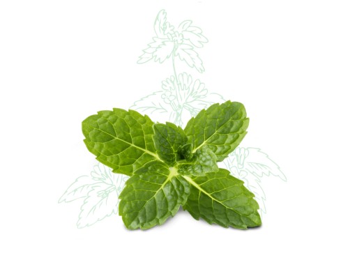 COSNATURE 2 ks: krém na citlivú pleť MELISA/EYE