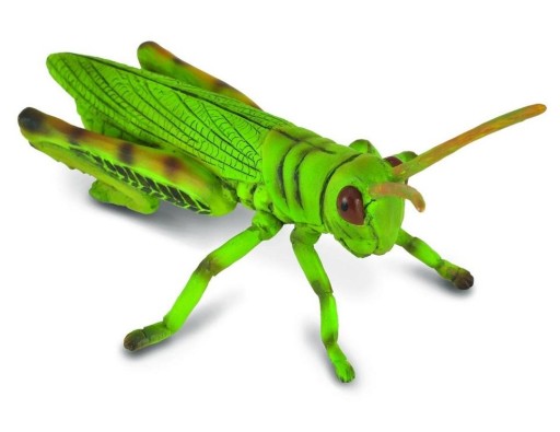 Kobylka