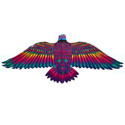 KITE