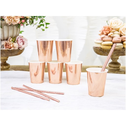 Papierové slamky 19,5 cm 10 ks Rose Gold 019R
