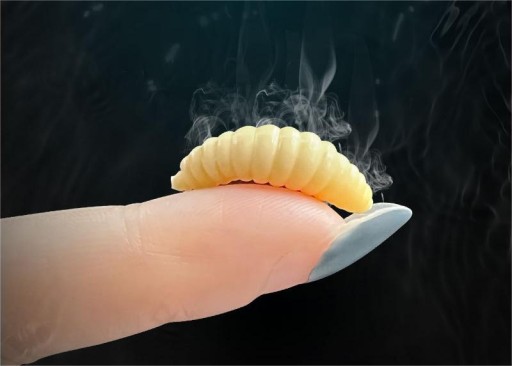 Umelé červy WHITE BAIT Návnada PINKA Mušky LARVA Set 100 ks