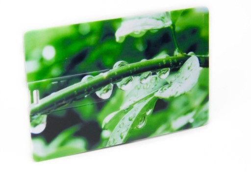 Pendrive USB CARD 2 GB s UV potlačou