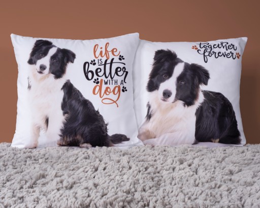 PLÁŠKA NA VANKÚŠ 40x40 PSÍKOV Border Collie