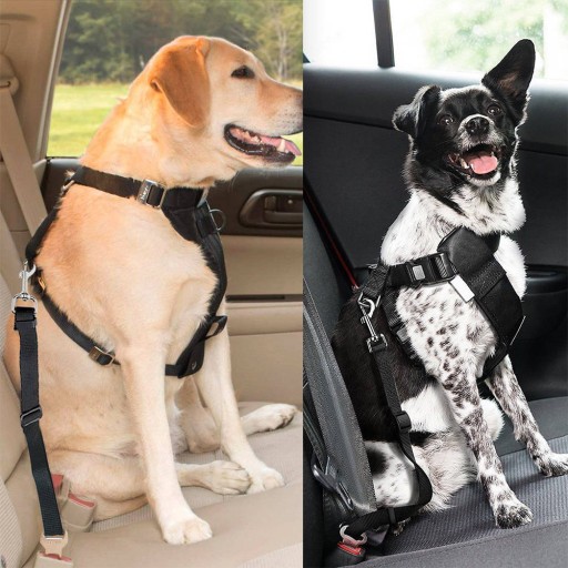 BEZPEČNOSTNÝ PÁS NA VODÍTKO PRE PSA DO AUTO 75cm