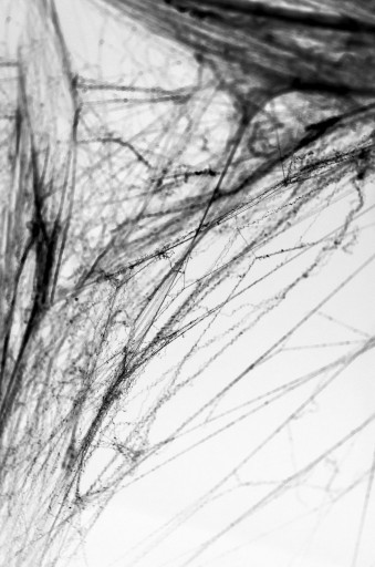 UMELÝ SPIDER WEB čierna pavučina niť 60g Halloweenska dekorácia
