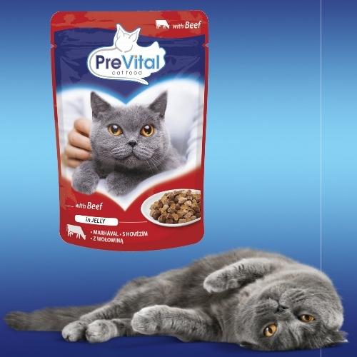 VRECKO MOKRÉHO KRMIVA PRE MAČKY 100G HOVÄDZ