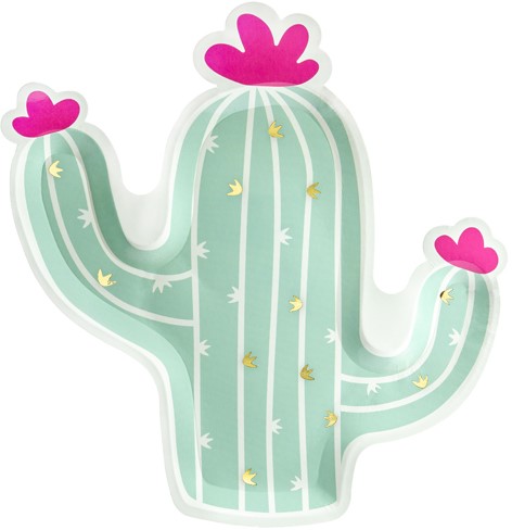 TANIERE mexicana CACTUS kaktusy kaktus 6 ks na narodeninovú oslavu 23 cm