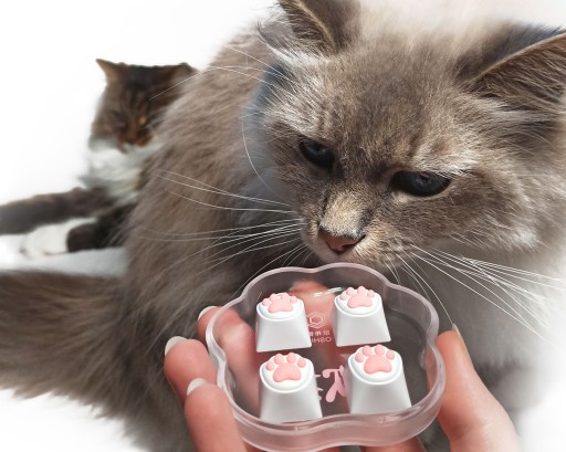 Cat's Paw Custom ESC Keycap Claw Keycaps - 1 ks.