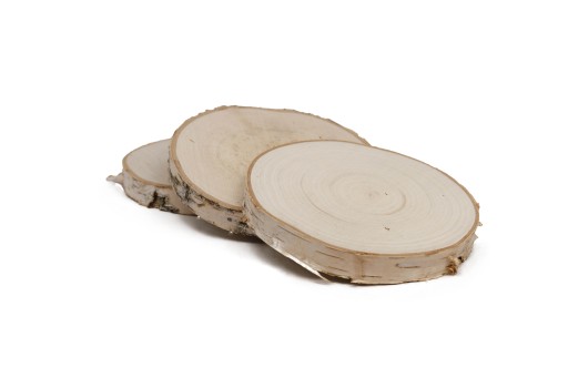 Nasucho brúsený drevený plátok 15-20 cm, breza
