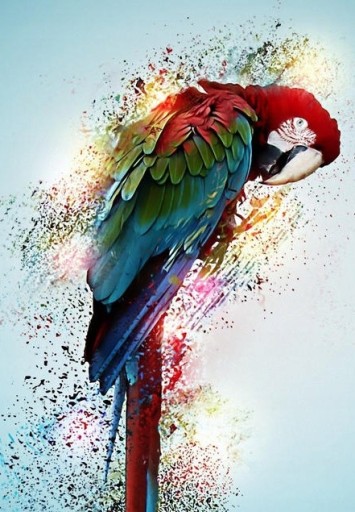 Diamantové vyšívanie PARROTS Diamantové maľovanie 5D SET na vyrezávanie diamantom
