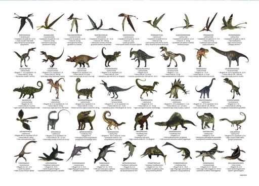 Dinosaury, obojstranná podložka do školskej lavice