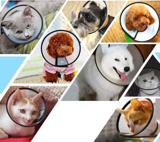 Pooperačný veterinárny obojok pre psov XS/7