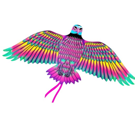 KITE