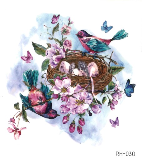 Odnímateľné tetovanie pre deti BIRDS RH030
