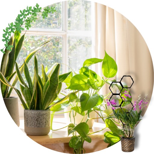 PODPORKA pre rastliny MODULÁRNA kvetinová podpera 58cm sada x2 pre monstera hoi