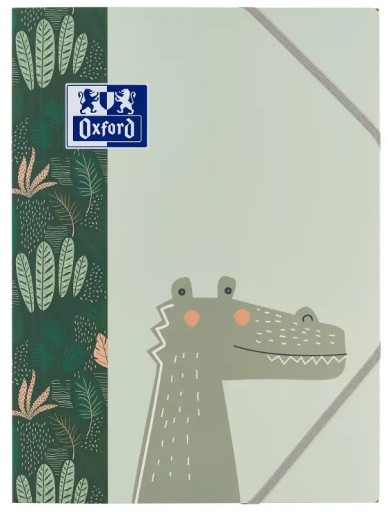 Kartónová zložka A4, zamatový satén, s gumičkou Dinosaur Dinosaur Oxford