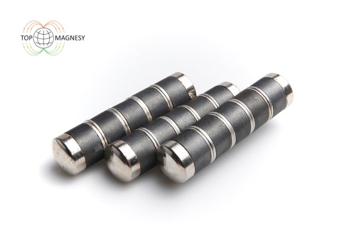Magnet na dobytok 79x18,5mm - Model D - magnety na tráviaci systém