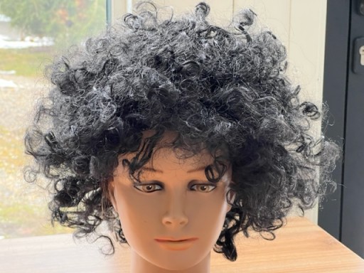 AFRO Parochne KARNEVALOVÝ PLES ČIERNA