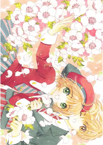 Anime Manga Cardcaptor Sakura Plagát ccs_811 A3